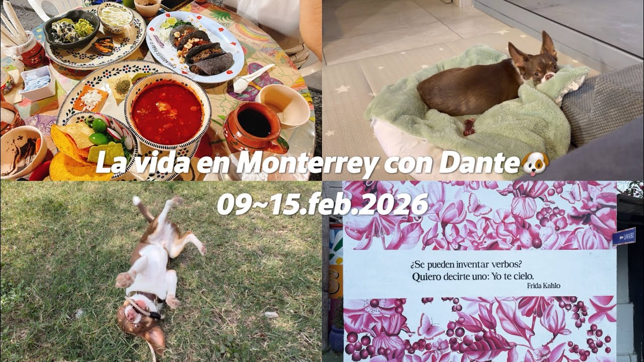 🇲🇽 | 26.02.09~15 멕시코 몬테레이 생활 (📍Frida Chilaquiles Valle | LUV U DOG 호텔링 예약🐶, 텔미모어 완료🗣️, 부대찌개🍲)