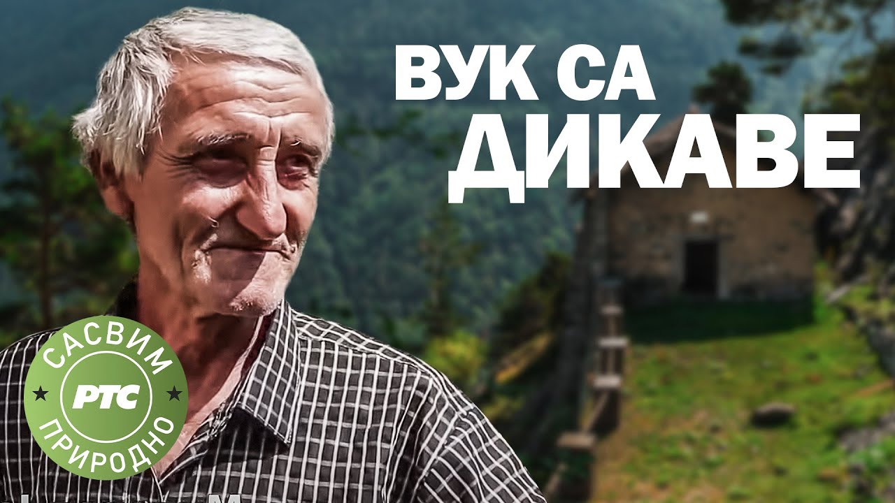 Sasvim prirodno: Vuk sa Dikave (Jovan Memedović)