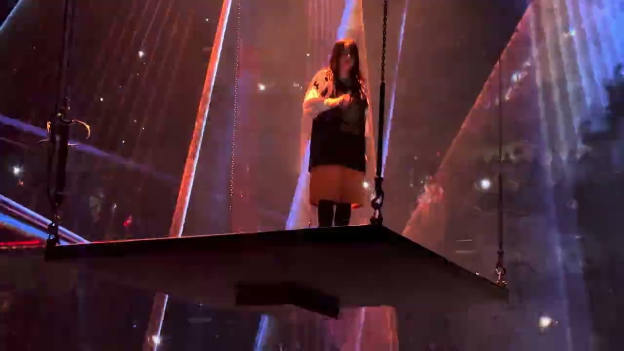 Billie Eilish - L'AMOUR DE MA VIE [OVER NOW EXTENDED EDIT] (Live) 4K