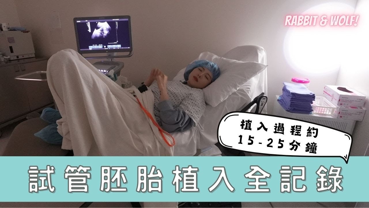 【小兔狼來了 EP.30】試管胚胎植入全記錄｜植入胚胎不等於懷孕｜植入後兒子反應是？｜兔女狼