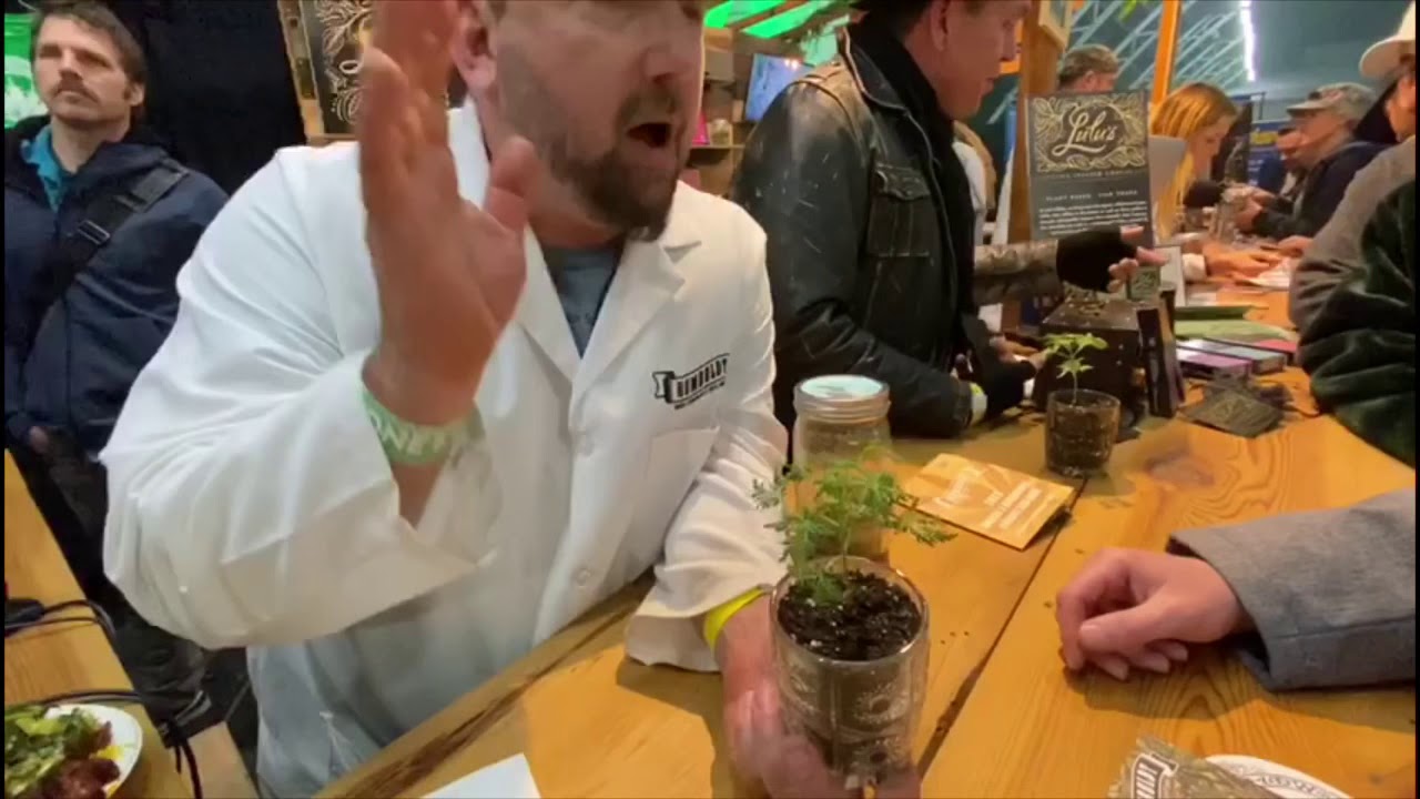 Strain Freakshow - The Emerald Cup 2019