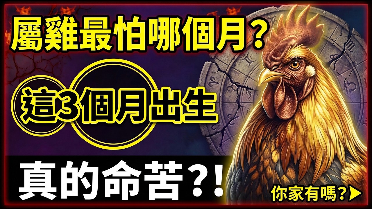 屬雞最怕哪個月？生肖雞：這3個月出生最命苦！你家有嗎？#生肖雞2026運勢 #2026屬雞運勢 #生肖雞 #風水 #屬雞 #生肖雞運勢 #屬雞運勢 #財運 #生肖雞命運 #屬雞命運 #生肖雞命格
