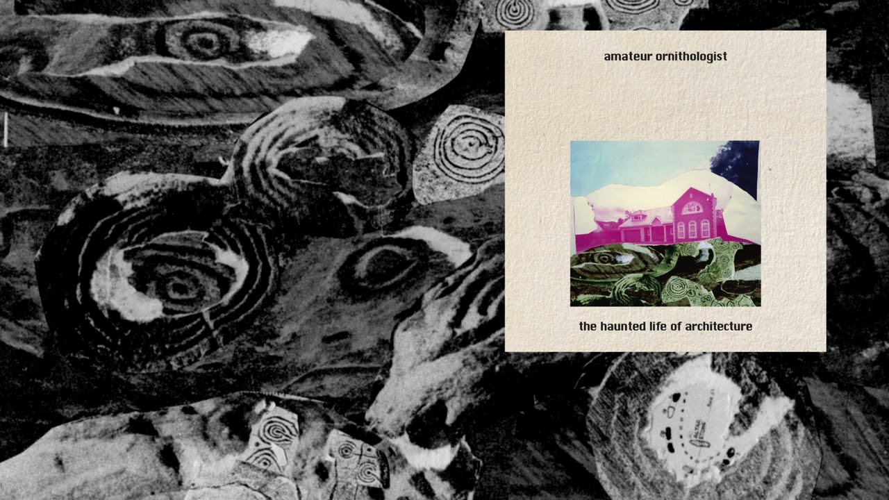 Amateur Ornithologist - Swing Around (Official Audio)