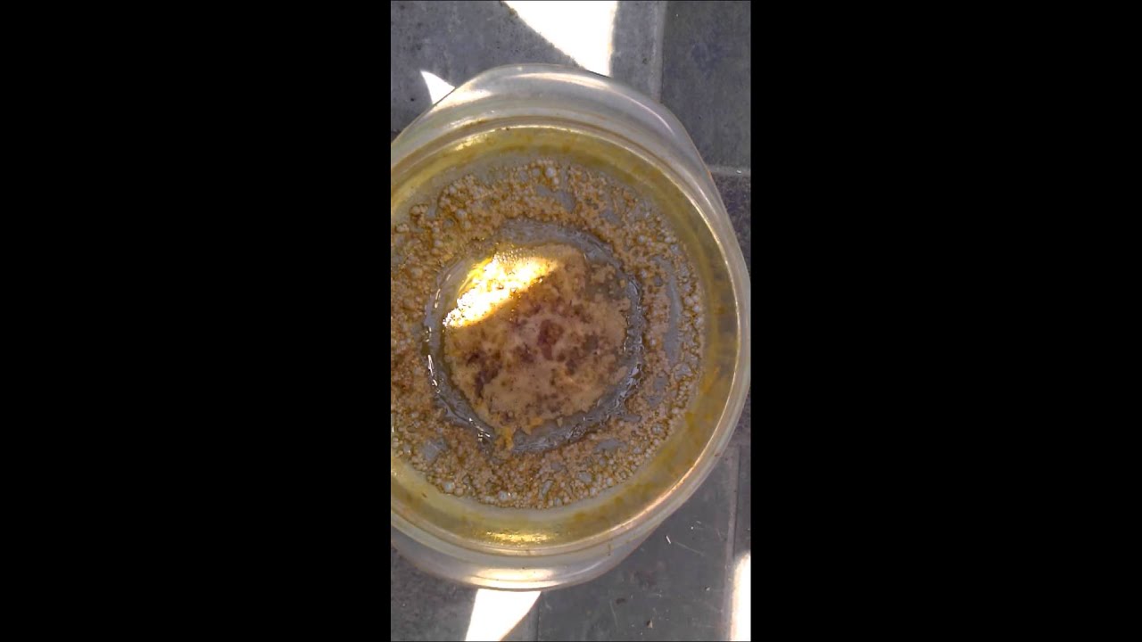 Deathstar OG BHO Purge