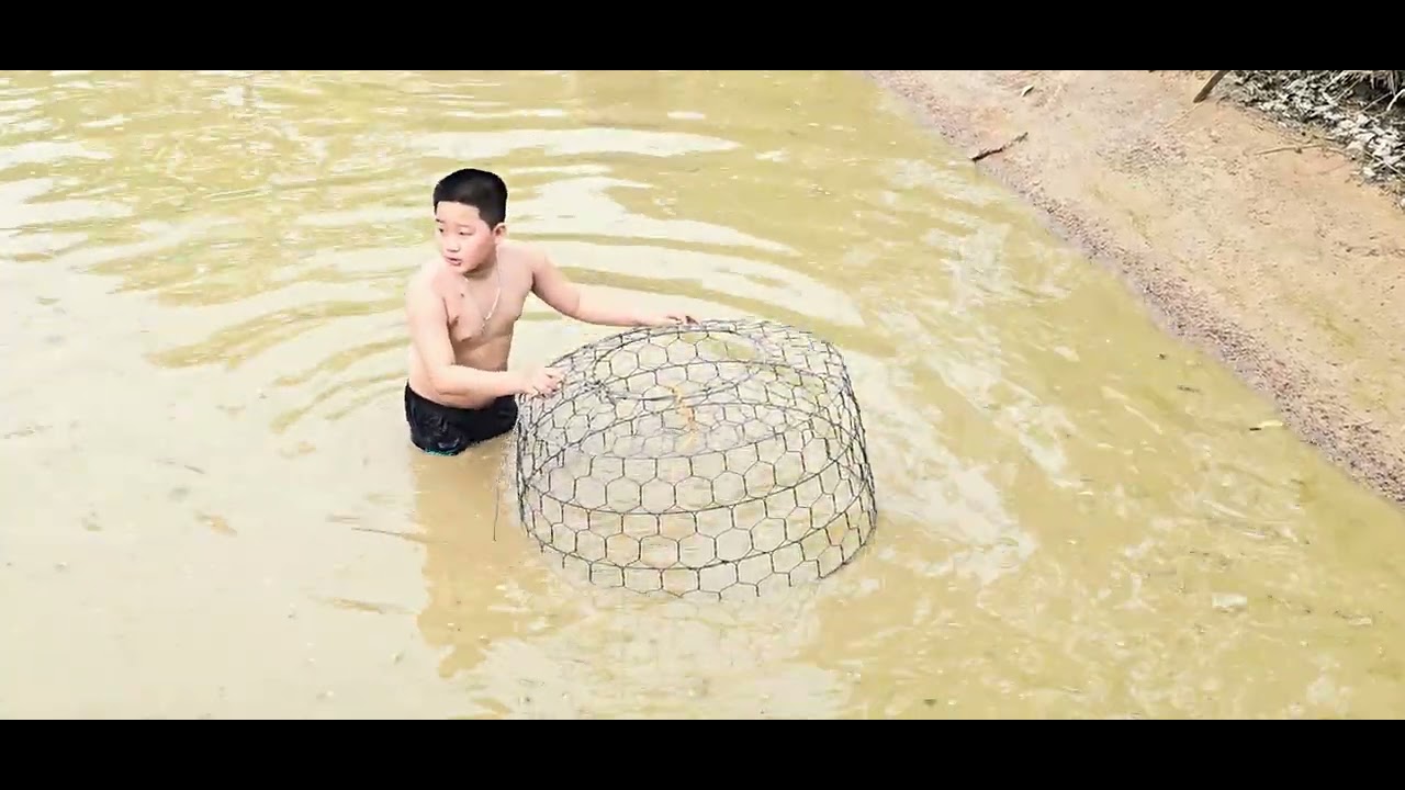 Hội bắt cá 🐟🐟🐟