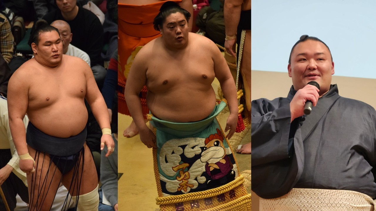 Hoshoryu's 