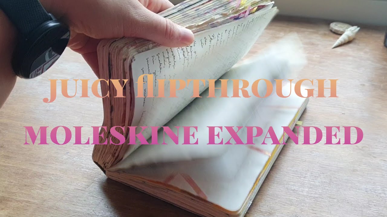 Juicy Moleskine Expanded flipthrough