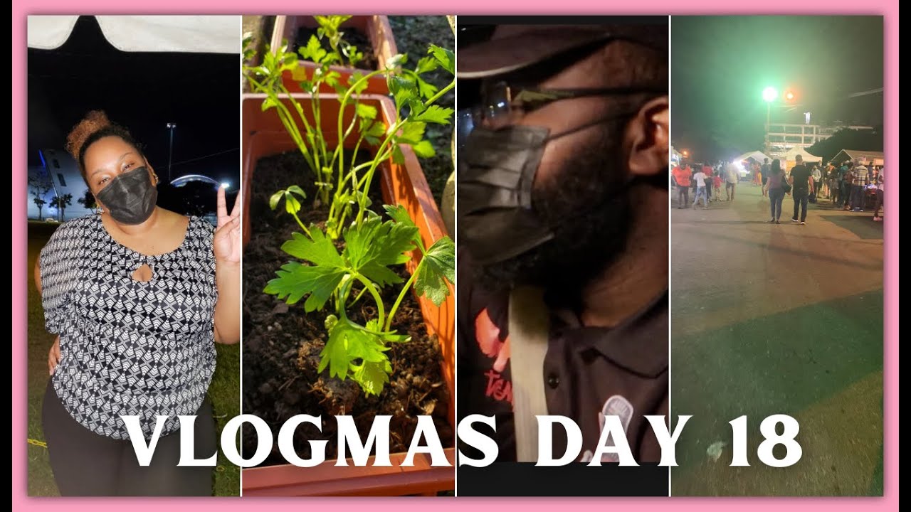 DRIVE WITH US TO QUEEN'S PARK SAVANNAH + DARIO'S GARDEN | VLOGMAS DAY 18🎄|TRINIDAD YOUTUBER