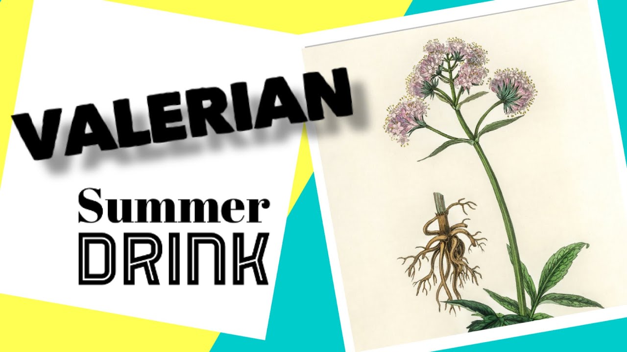 Valerian drink for anxiety #anxiety