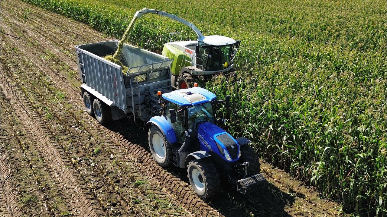 🔥Kukurydza na kiszonkę 2025🔥MaseyFerguson,Renault,2x JD i 3x NH w akcji!🔥