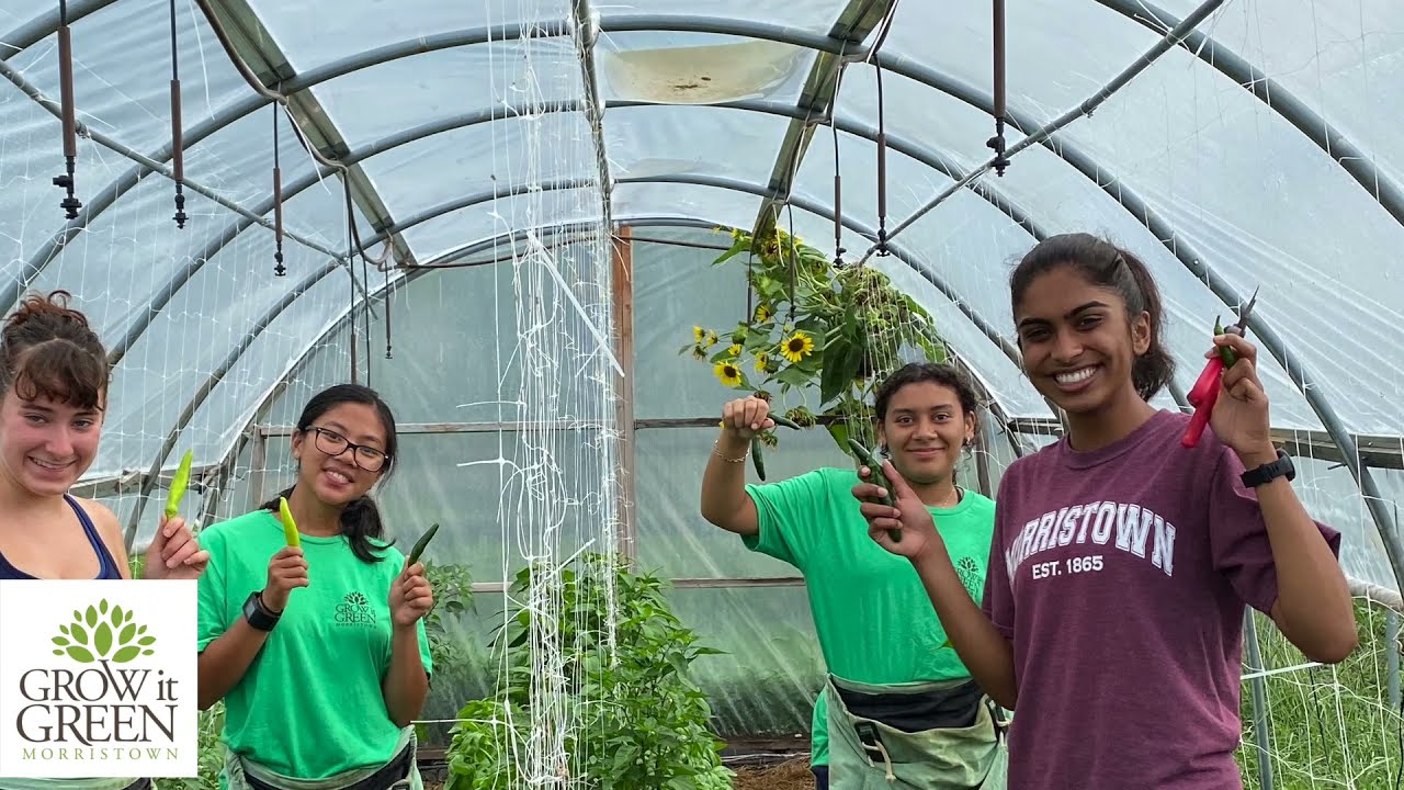 Grow It Green's Year in Review- 2021