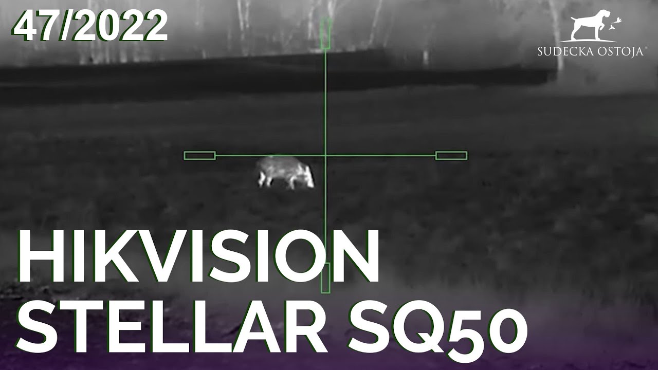 SUDECKA OSTOJA 47/2022 HIKMICRO Stellar SQ50 Polowanie na dziki wild boar hunting chasse sanglier