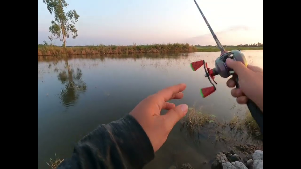 Câu lure với máy mới #fishing #lurefishing #taichinhthichcau
