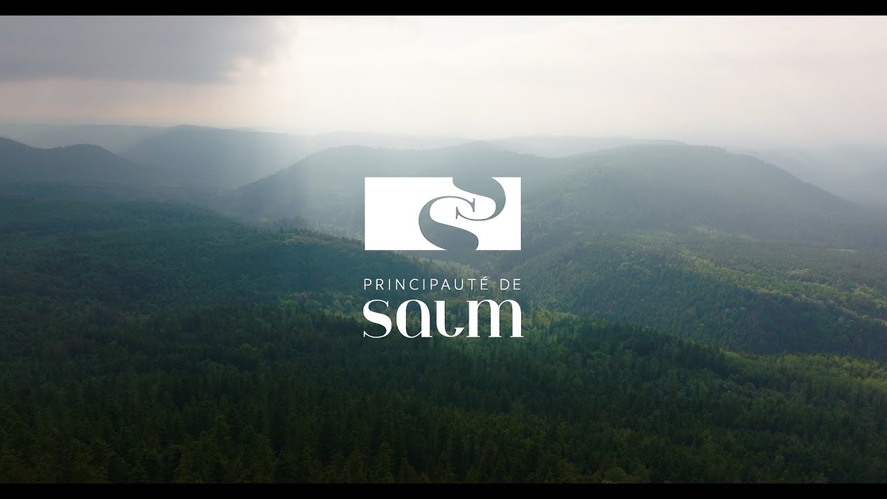 La principauté de Salm