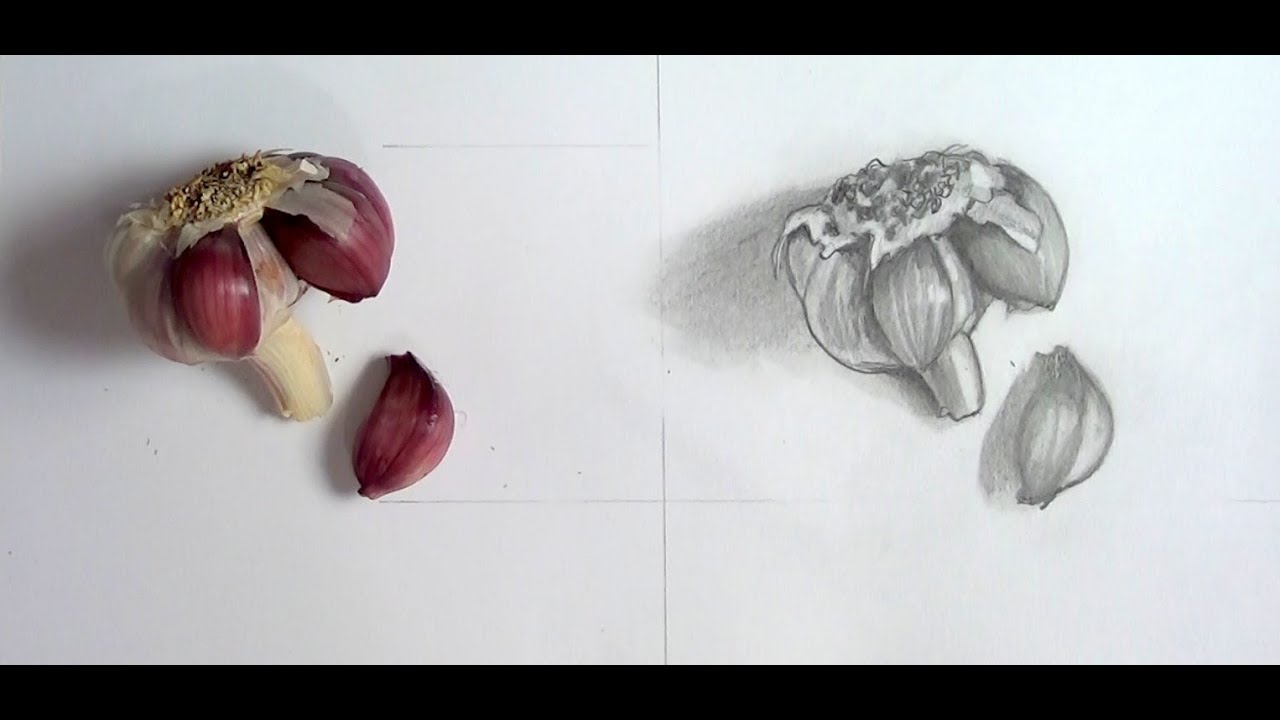 Desenho de Observação