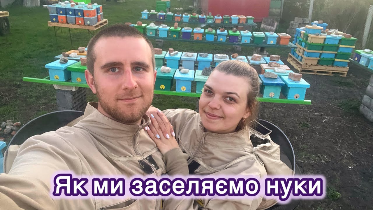 Як заселити нуклеус? 🐝