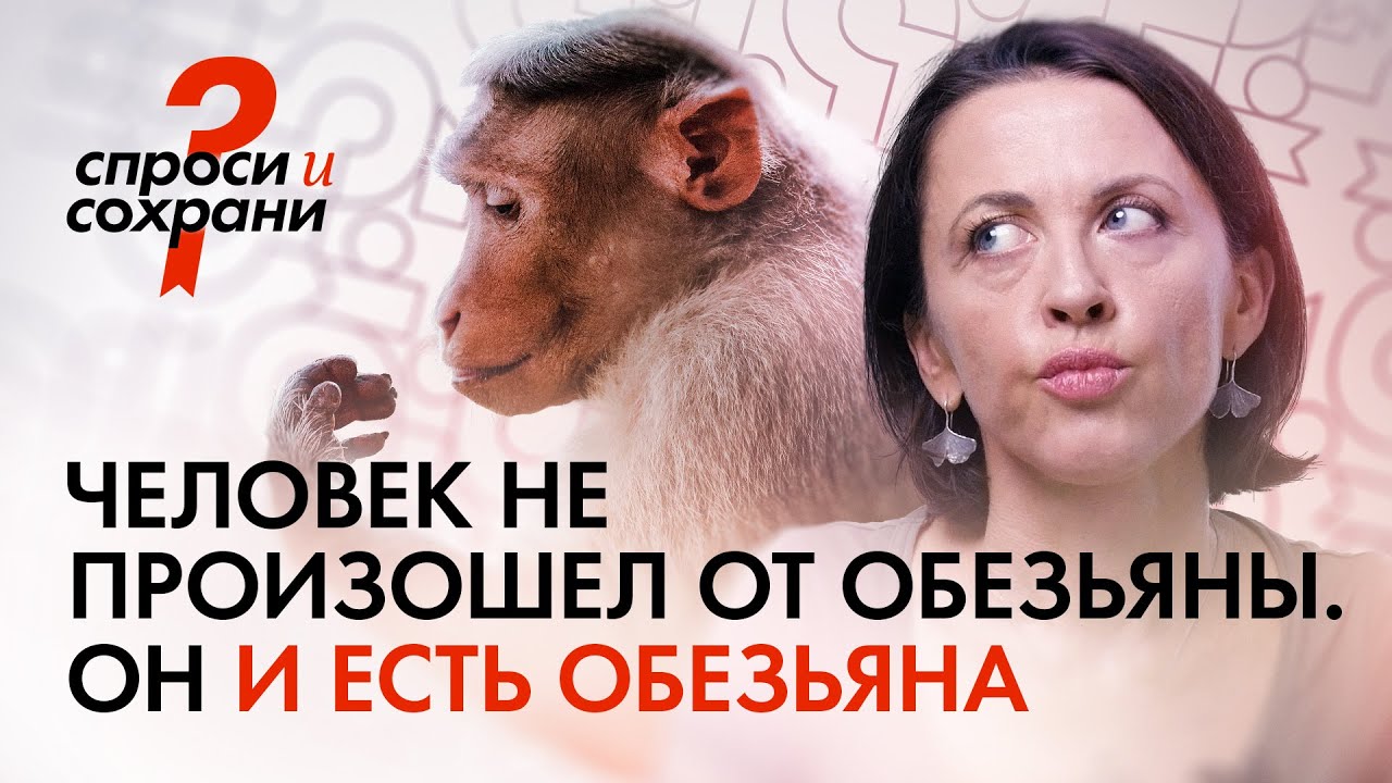 Человек — это обезьяна. Рассказывает Евгения Тимонова (@vsekakuzverei-channel)