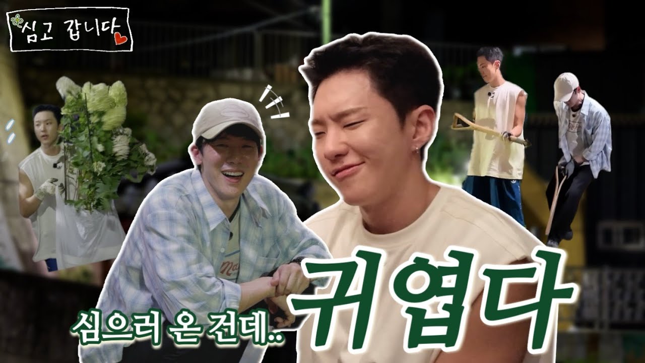 호시와 금호동에 심고갑니다! 🌳 | Ep.2 (EN/JP/IN/ES)