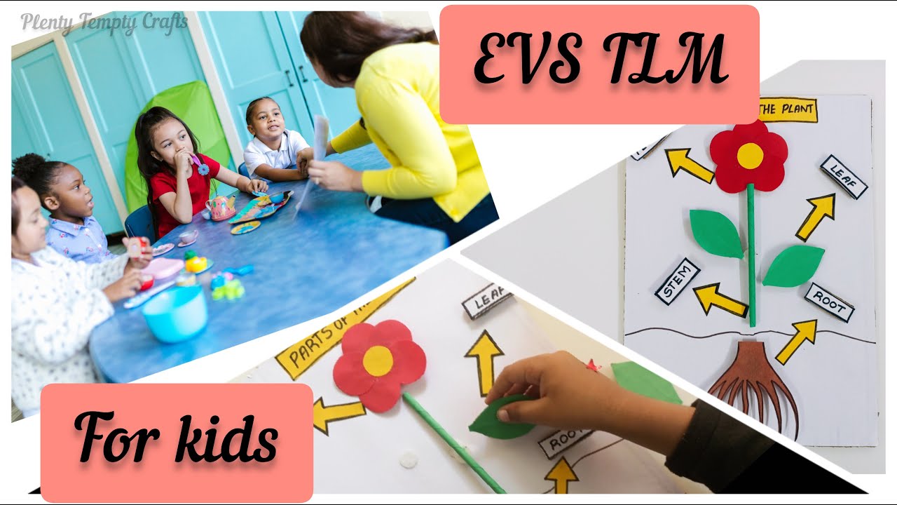 TLM for Primary School / EVS TLM for class 1 to 5 / Parts of the plant / Easy TLM for EVS / 3D model
