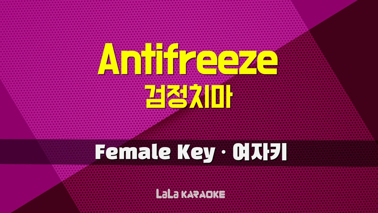 검정치마 - Antifreeze (여자키 Female) 노래방 MR