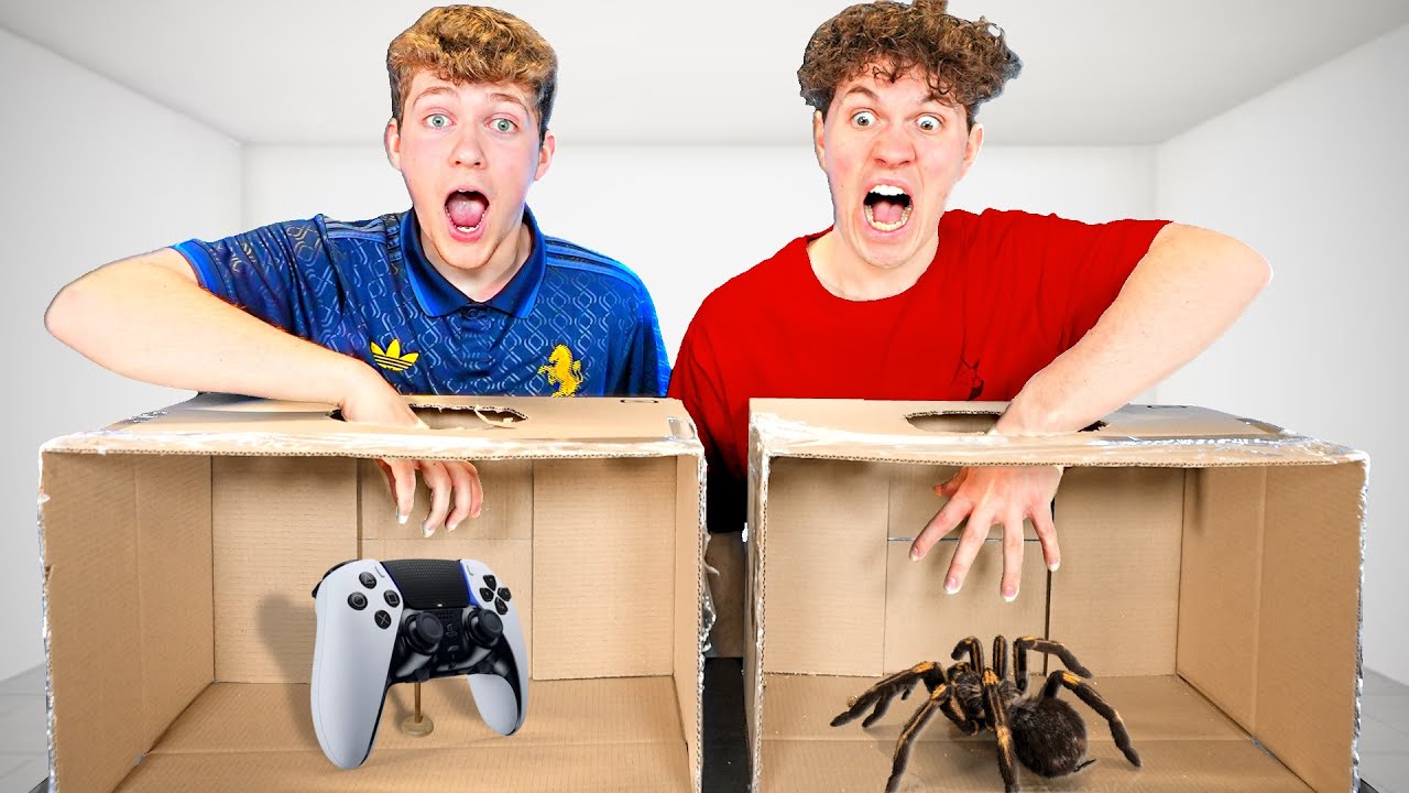 Ikke Vælg Den Forkerte Box!