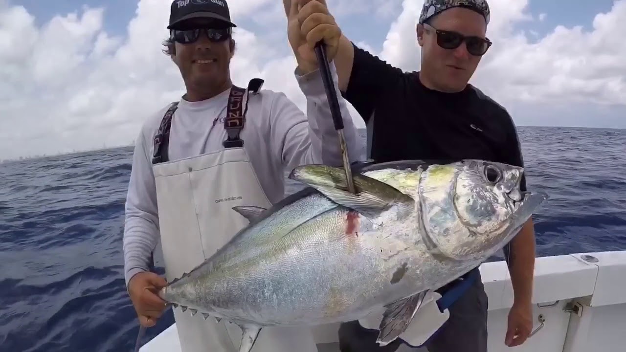 Top Gun Fishing Charters Highlights