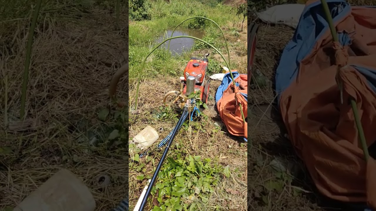 pengairan kebun menggunakan sanchin 120