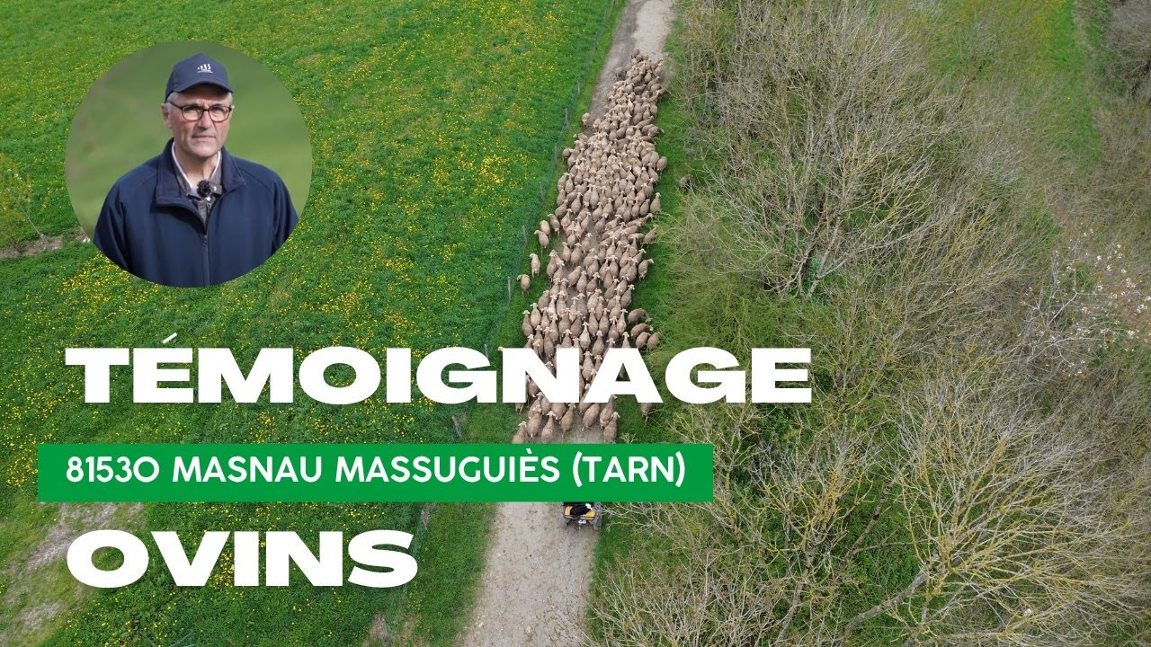 Témoignage éleveur : autonomie, fertilité et économies avec SOBAC