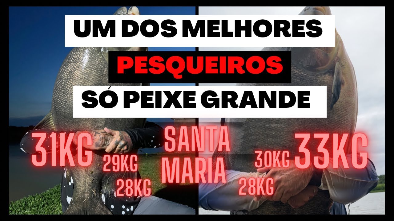 PESQUEIRO POUCO CONHECIDO/TAMBACUS GIGANTES/SÓ PEIXE ZERADO/UMA DAS MELHORES PESCARIAS DA VIDA/