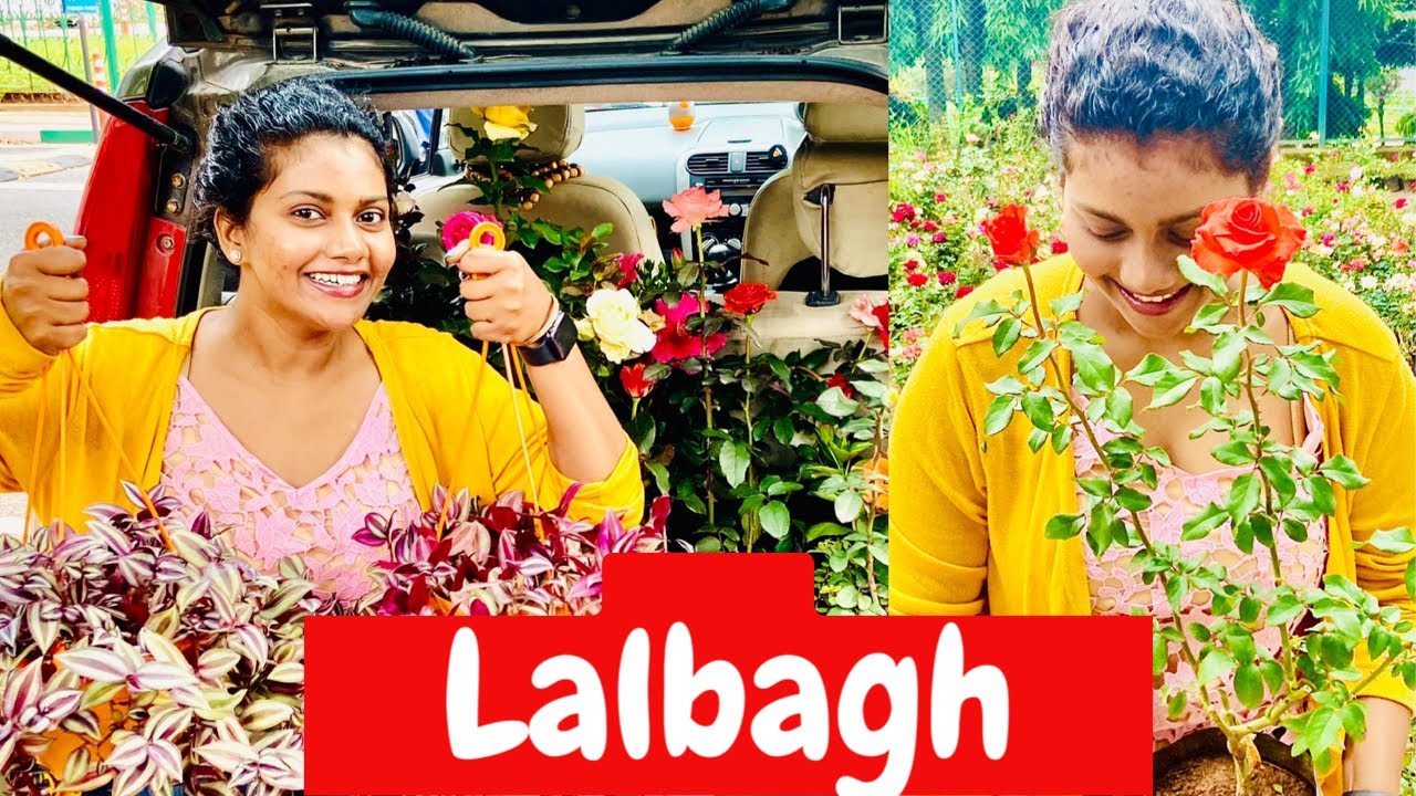 LALBAGH BANGALORE NURSERY | Lalbagh Botanical Garden Bangalore | CHANDRAMUKHI Moment | Tamil Vlog