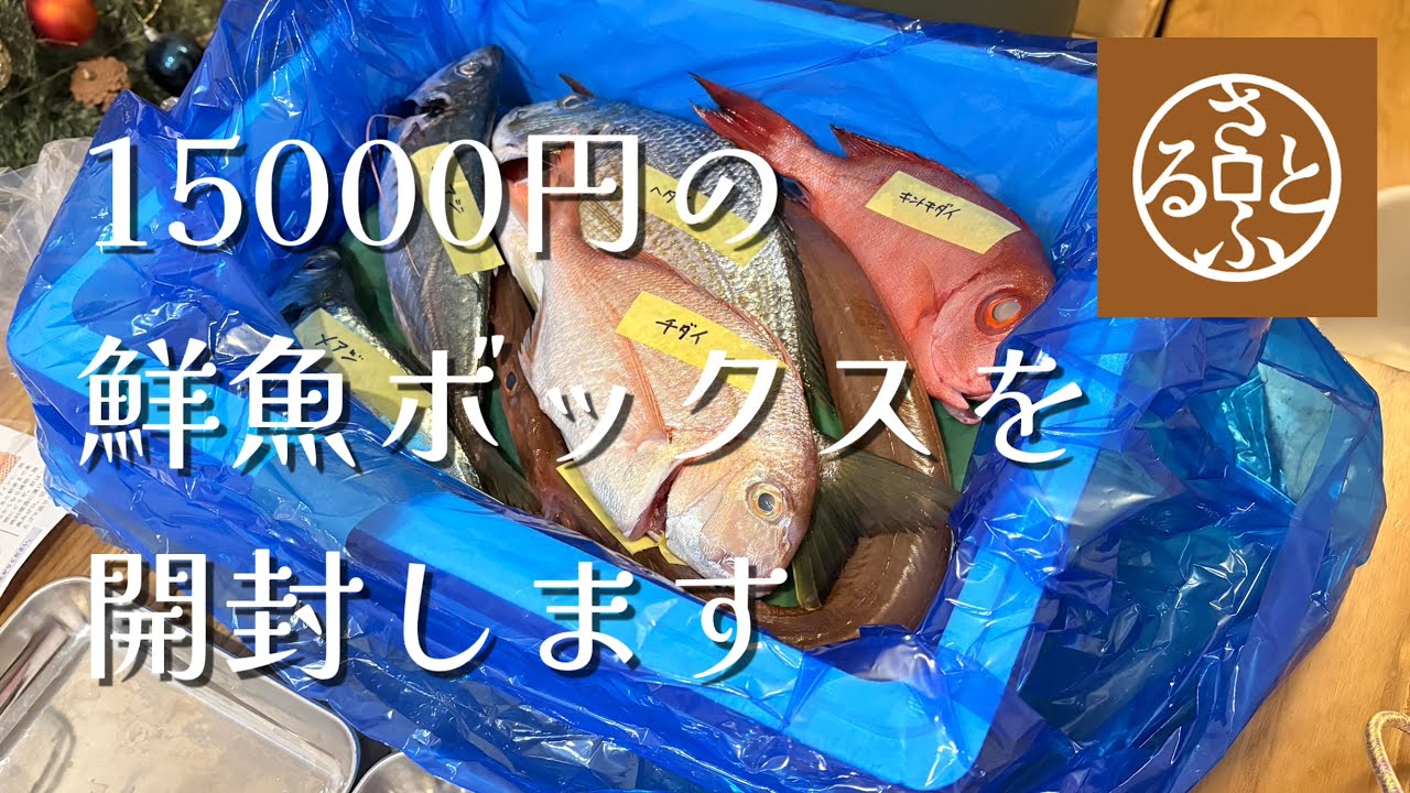 【ふるさと納税】何が入ってる？鹿児島から届いた15000円分の鮮魚ボックスを開けて捌いて食べてみた🐟｜地魚｜福袋｜刺身｜肝付町｜未利用魚【Vlog】