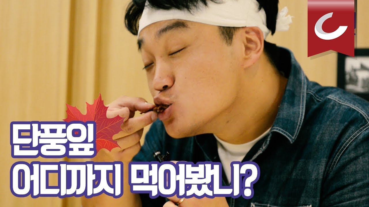 [두잇터] 단풍 어디 까지 먹어봤니? / 조선일보
