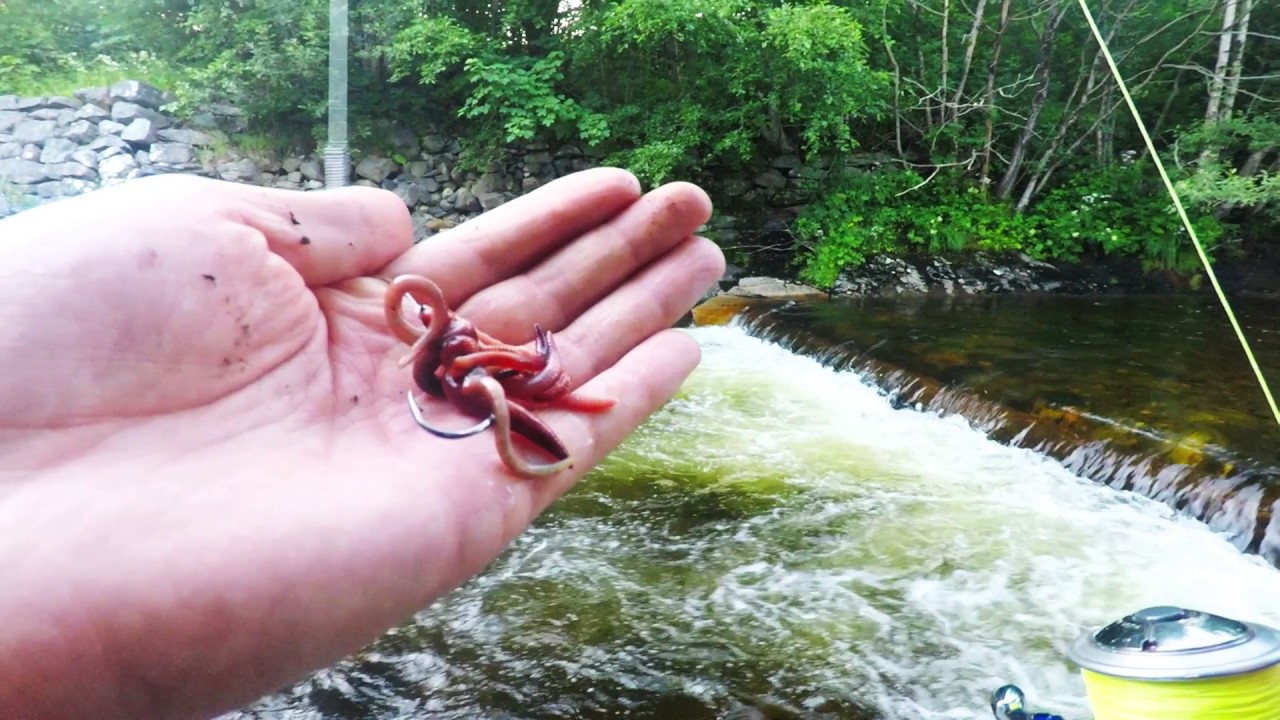 Ørskogelva 19. Juli 2017 GoPro