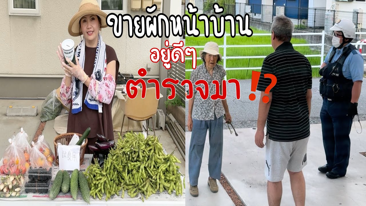 เก็บผักขายหน้าบ้าน ไร้คนขายมีแค่กล่องหยอดเหรียญ /จู่ๆมีตำรวจมา บอกแบบนี้❓|ขายผักแบบนี้ได้เงินครบไม๊❓