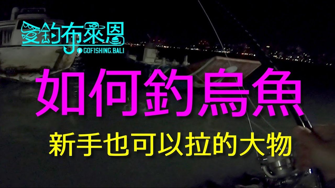學釣魚 #19  如何釣烏魚 釣組/釣餌/訊號判斷  (磯釣入門系列)(有字幕)