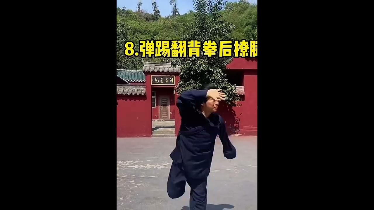 武当伏虎拳教学   #中华传统文化 #非物质文化遗产
