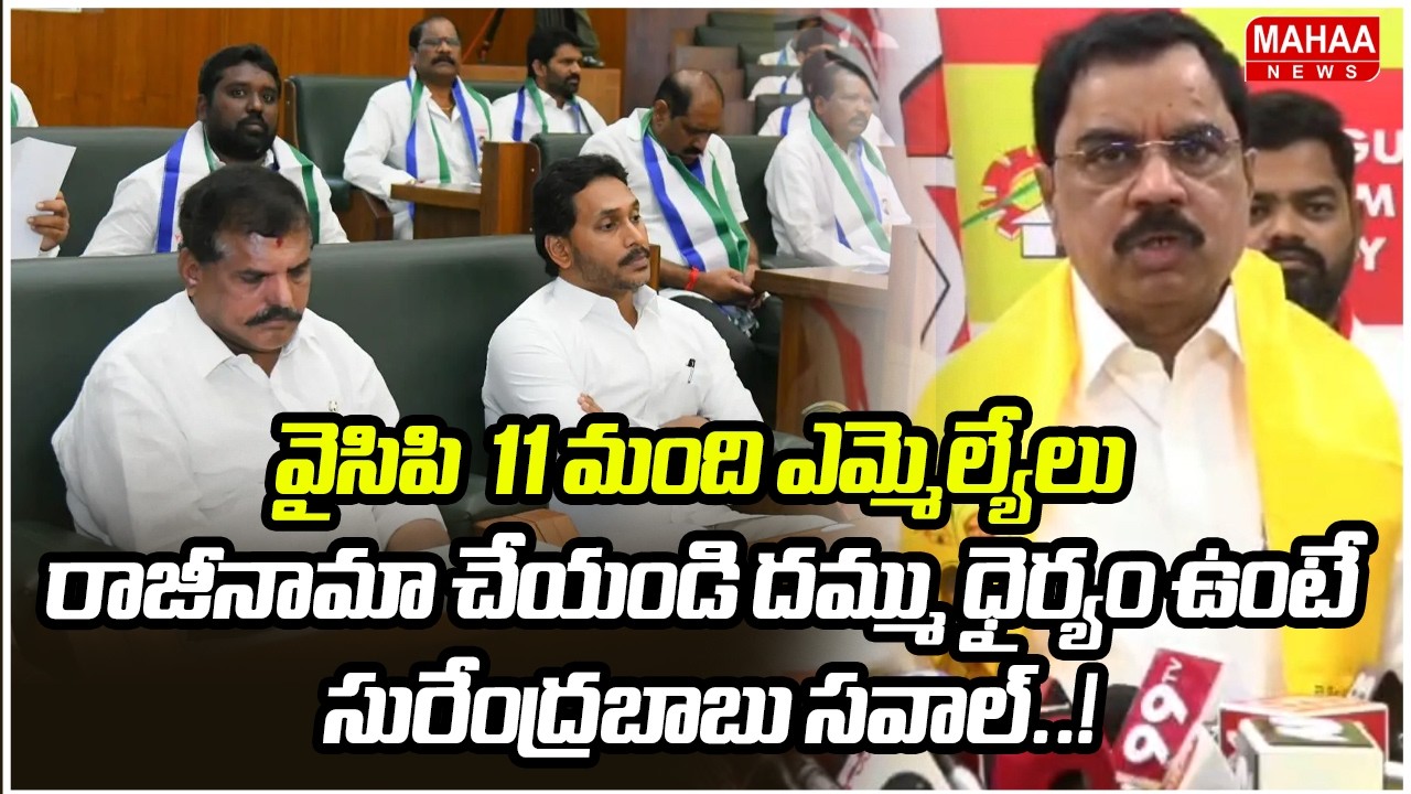 వైసిపి  11 మంది ఎమ్మెల్యేలు రాజీనామా చేయండి దమ్ము ధైర్యం ఉంటే సురేంద్రబాబు సవాల్..! | Mahaa News