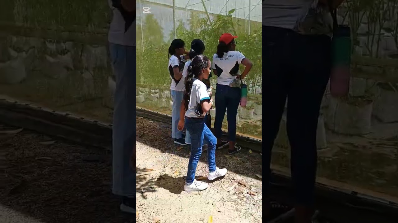 Bring your school group to get an immersive agriculture experience.#schooltour #farmtour #fieldvisit