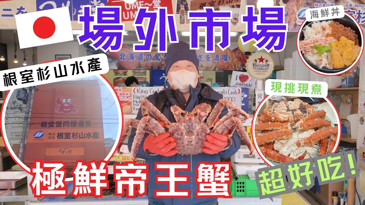 北海道札幌場外市場吃活帝王蟹！根室杉山水產現殺現煮體驗｜北海道海鮮必吃推薦 Hokkaido’s Live Cooked King Crab at the Market !