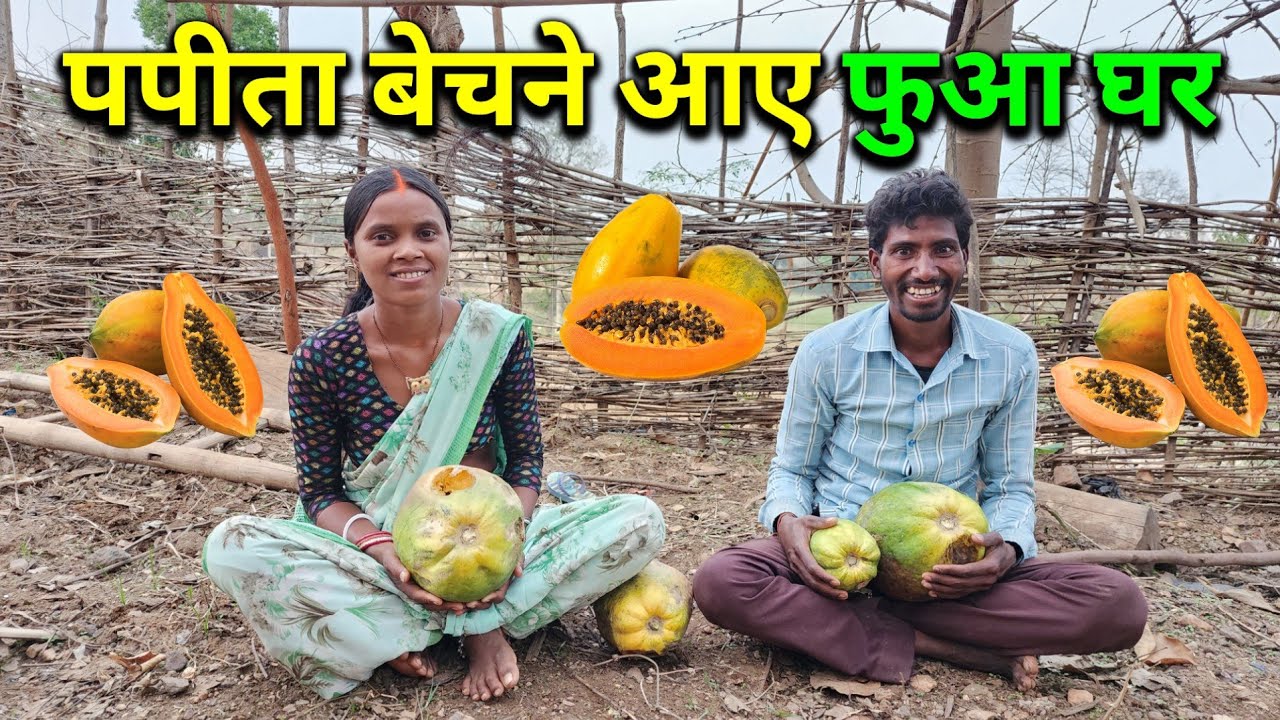 पपीता बेचने आए फुआ घर | Pahadi Lifestyle Vlog