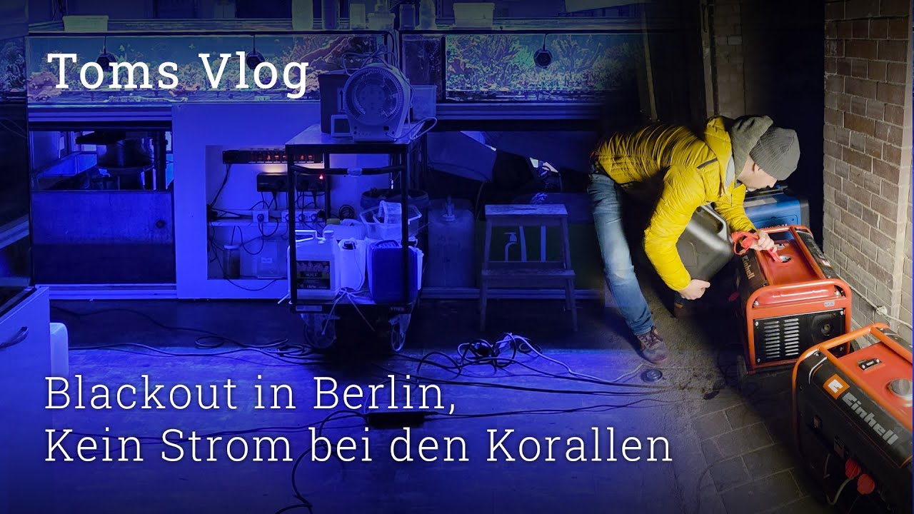 Blackout in Berlin - Stromausfall bei den Korallen, 5 Tage ohne Heizung & Licht