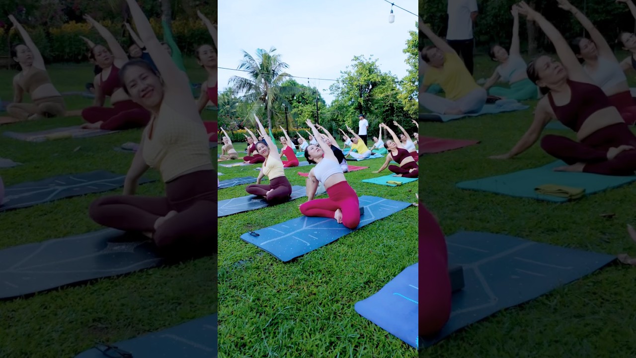 12 Happy International Yoga Day Celebration in Vietnam 🇻🇳 #internationalyogaday #vietnam #yoga