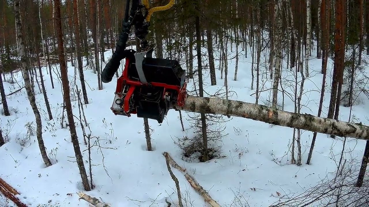 Talven viimeisellä harvennuksella #valmet #valtra #nisula