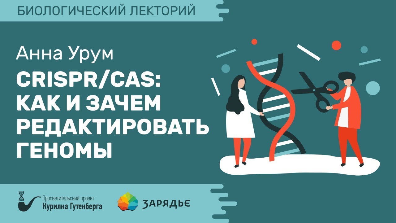 Биолекторий | CRISPR/Cas: как и зачем редактировать геномы – Анна Урум