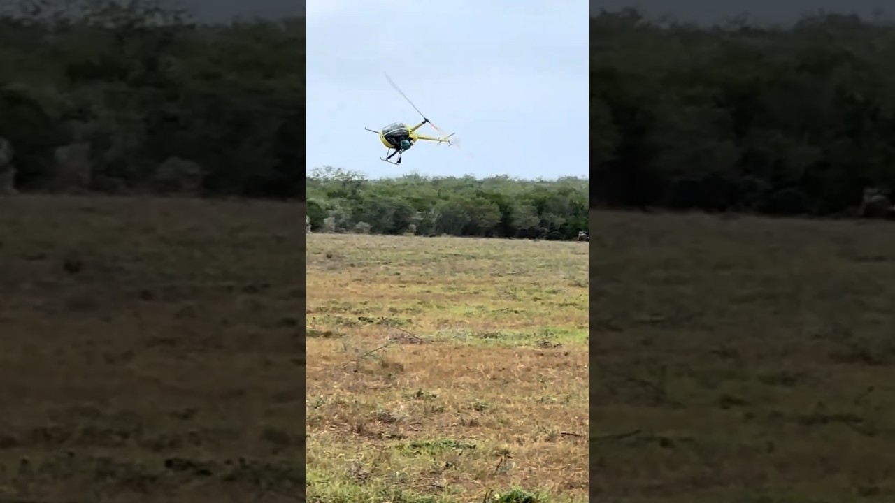 Cowboy helicopter #helicopter #helicopterflight #aviation