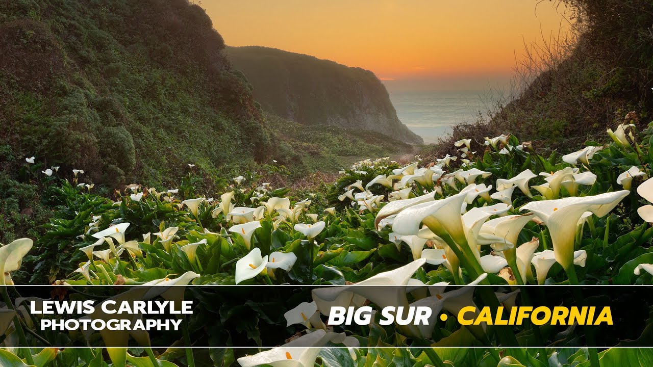 Landscape Photography Big Sur California - Lewis Carlyle