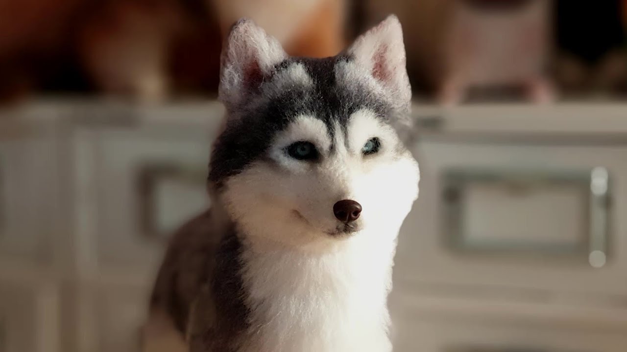 Needle Felt Dog Tutorial 시베리안 허스키 만들기!