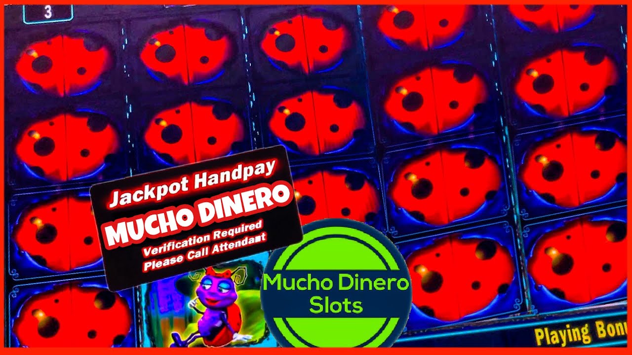 MY BIGGEST SLOT JACKPOT ON LADY BUG SLOT 🟢 HIGH LIMIT 🟢 $100 BETS 🟢 FREE GAMES HUGE JACKPOTS