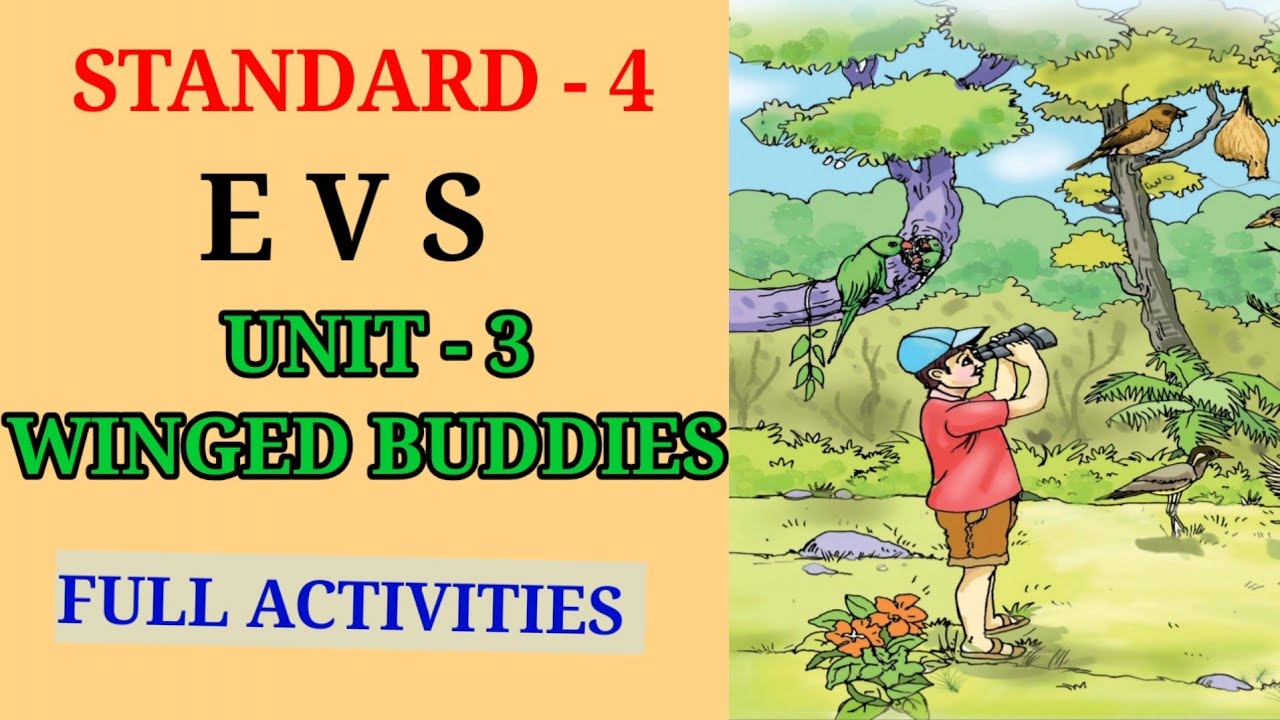 WINGED BUDDIES STD 4 EVS UNIT 3 | CLASS 4 EVS  CHAPTER 3 WINGED BUDDIES FULL ACTIVITIES