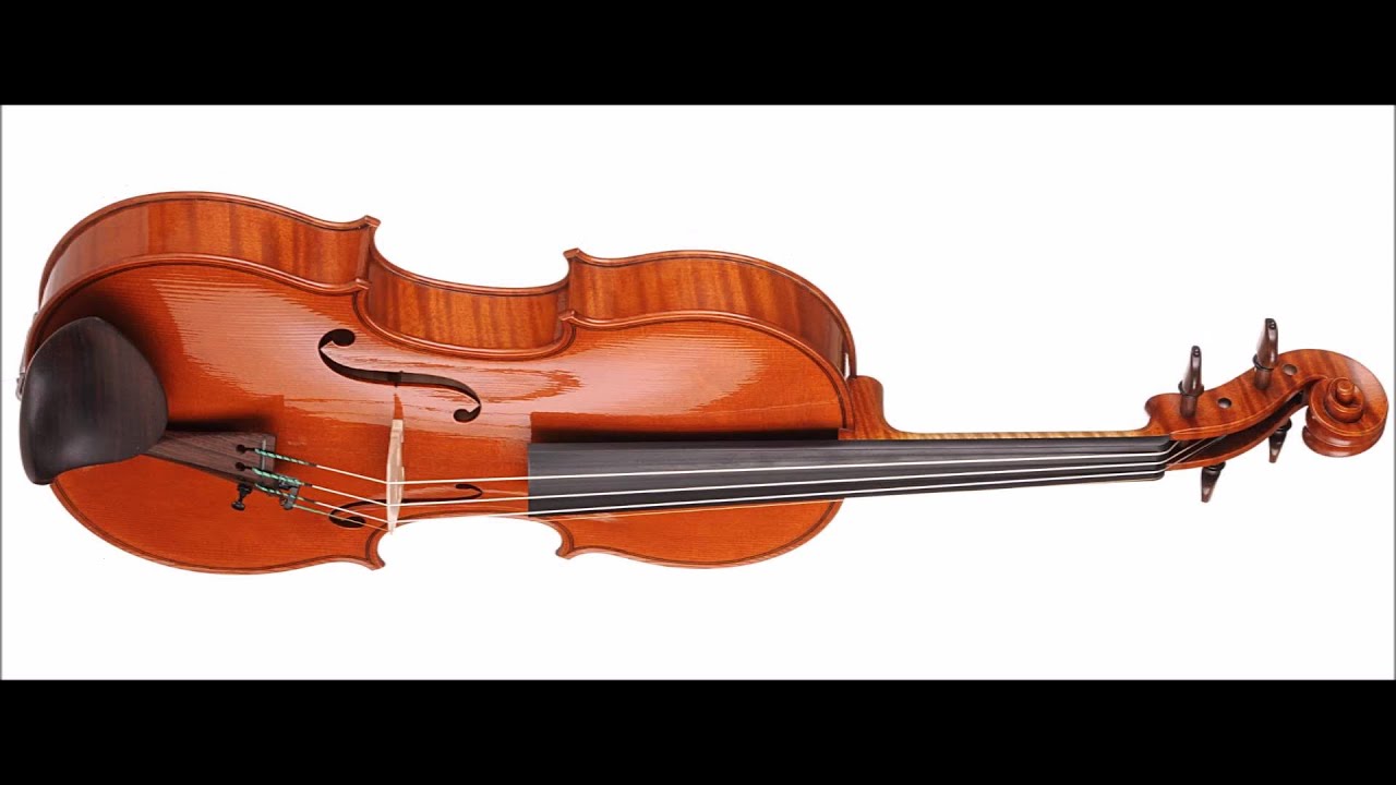 Gonzalo Bayolo - Finalist - 13th Wieniawski Violin Making Comp. | binaural recording | concert hall